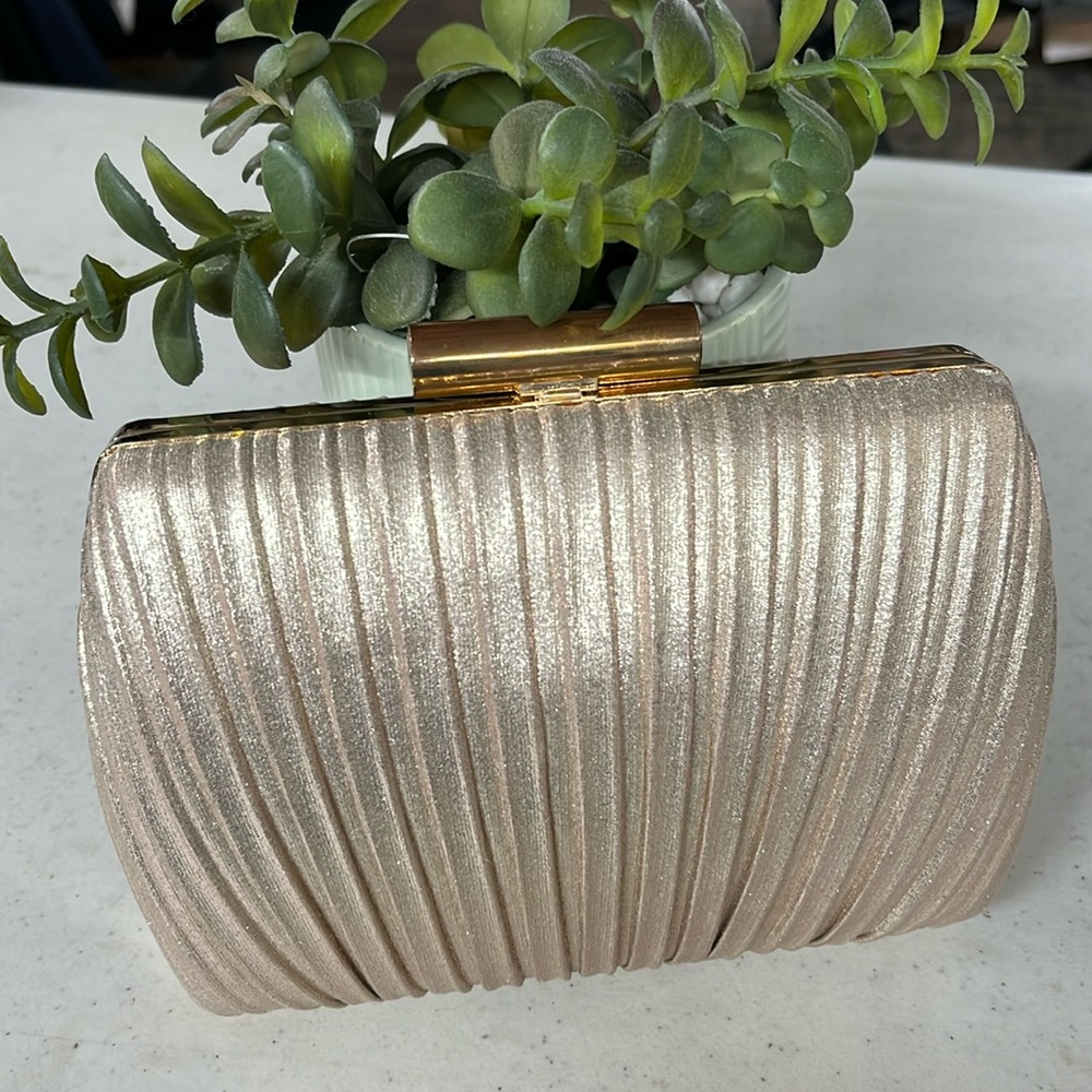 La Regale Metallic Clutch